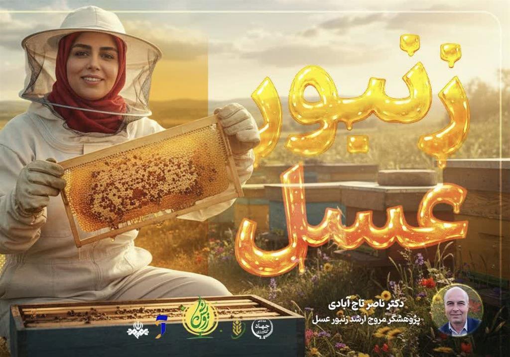 استارت بهاره زنبورعسل از دمای ۱۵ درجه آغاز شود/ تغذیه تحریكی و مدیریت بیماری‌ها كلید موفقیت زنبورداری در بهار