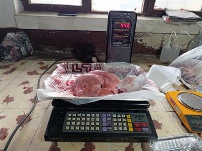 از پرورش تا ارزیابی لاشه